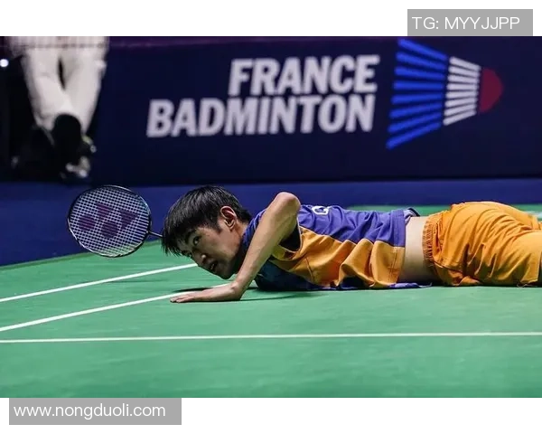 武汉羽毛球队在世锦赛中的战术分析与表现评估