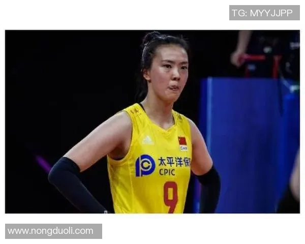 南京排球队球员表现卓越最新排球个人能力排行榜前十揭晓