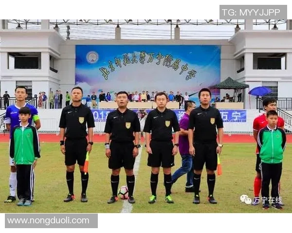 李敏独家揭秘：深入解析足球技巧与战术心得分享